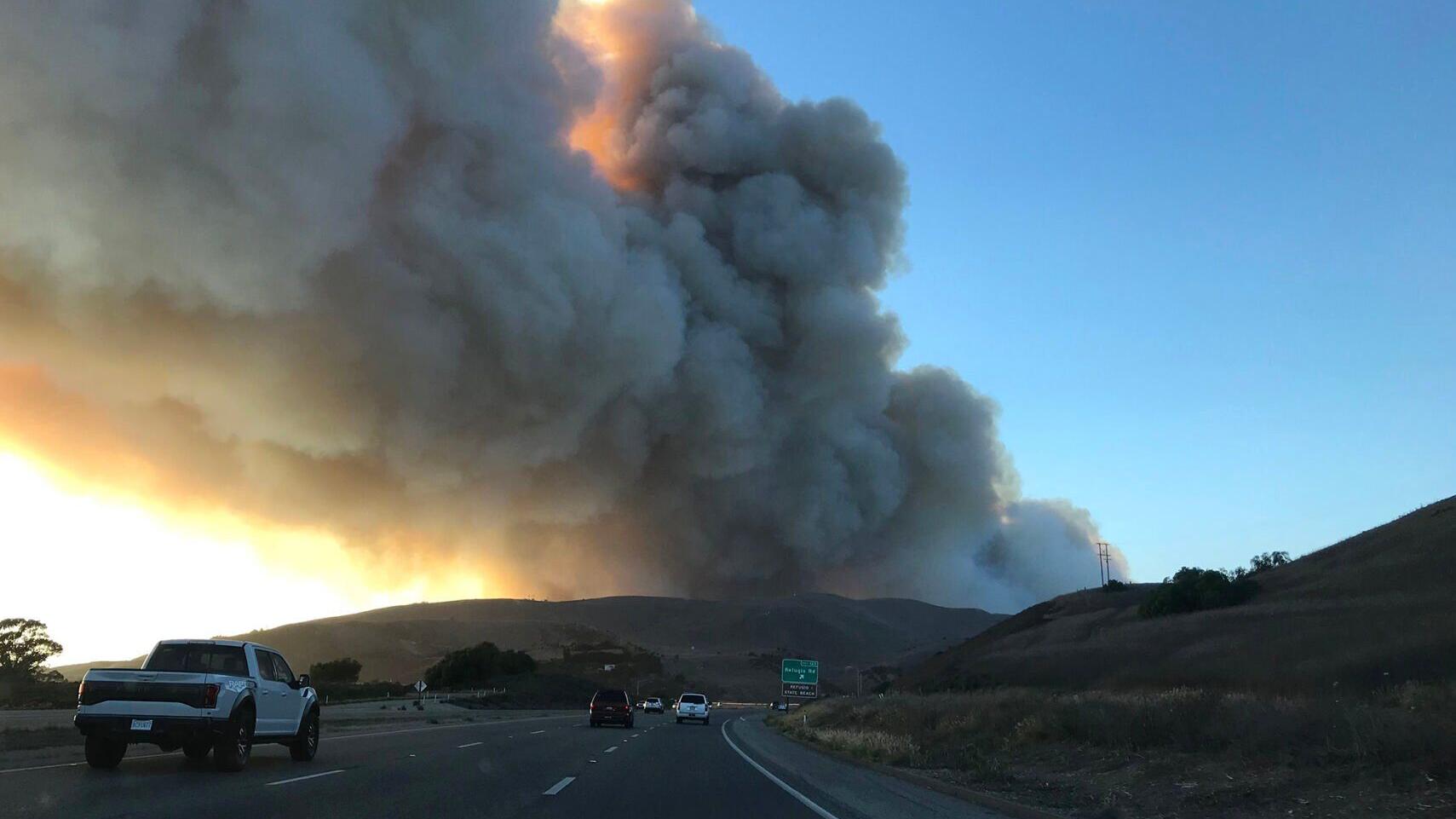 Exposure to wildfire smoke altered DNA structure in monkeys